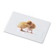 Usbstick credit card 4 GB κωδ. 062. Mε Εκτύπωση το Σχεδιο σας Usbstick credit card 4 GB κωδ. 062. Mε Εκτύπωση το Σχεδιο σας